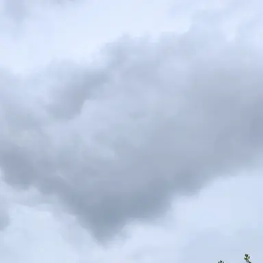 Profile image of 최.범.규