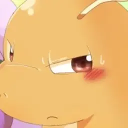 Profile image of カイリュー