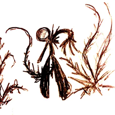 Profile image of 배리언트