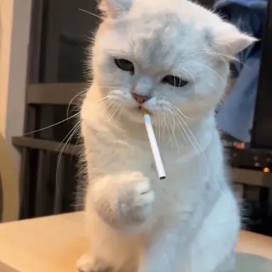 Profile image of 宇佐美リト