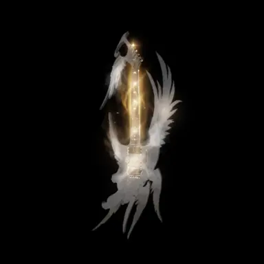 Profile image of 윙키퍼