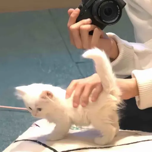 Seolni9643의 집주인 아들과 602