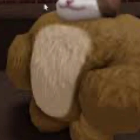 弟くん