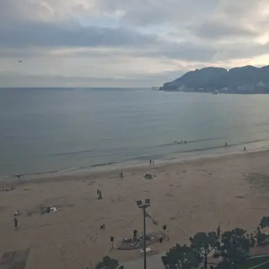 Profile image of 장지아하오