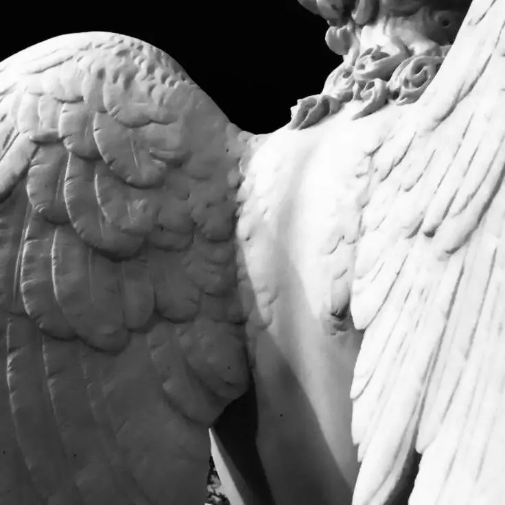 stayr의 나만의 뮤-즈