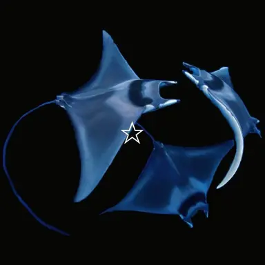 Profile image of 잠뜰