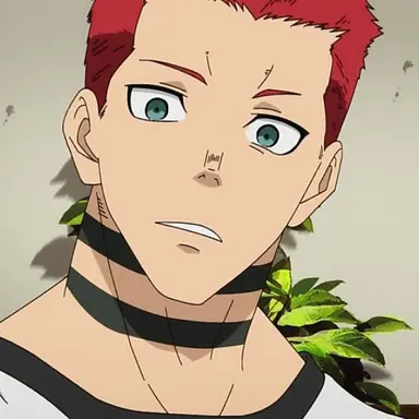 Profile image of 발칸