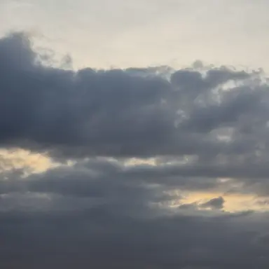 Profile image of 상디