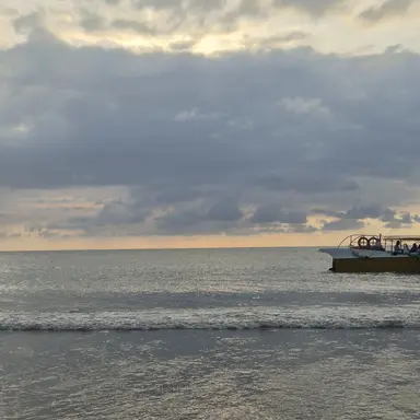 Profile image of 우솝