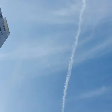 Profile image of 여우