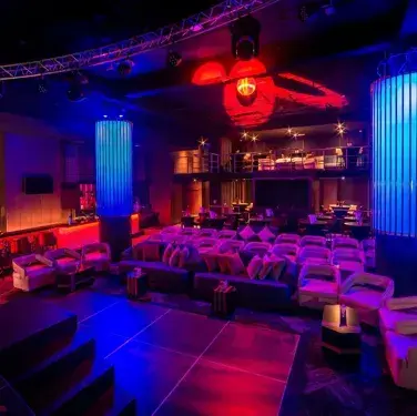 Profile image of Furry Nightclub