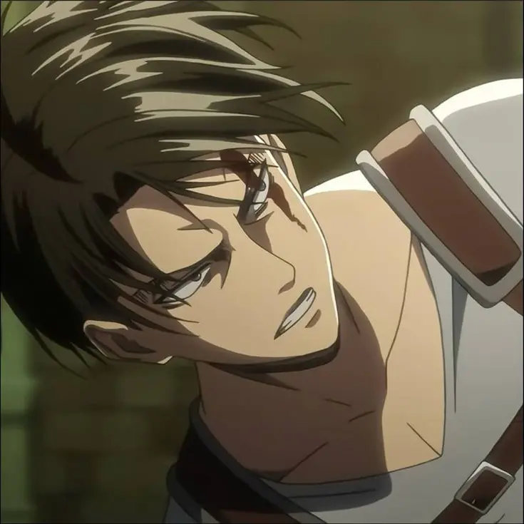 Attackontitan1012의 리바이