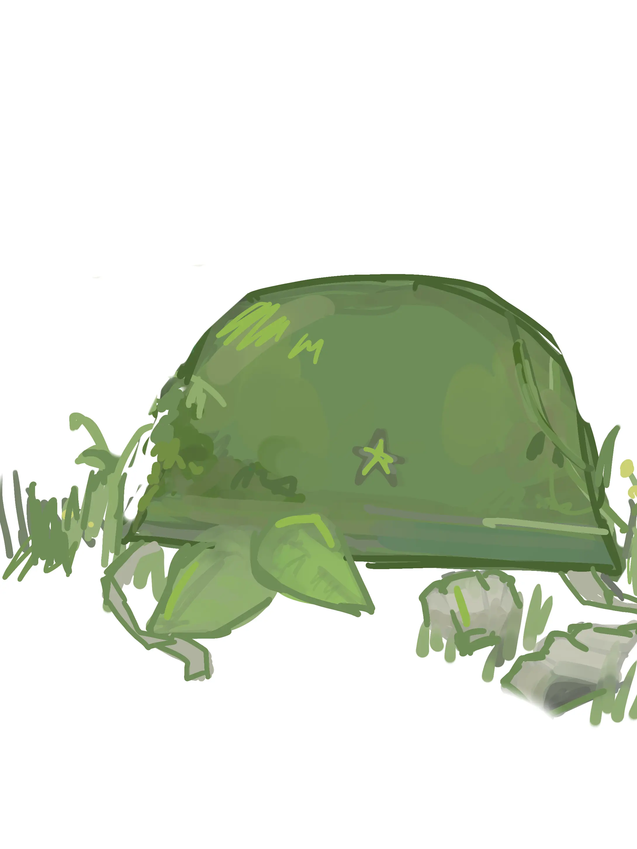 BraveQueen3730의 Peleliu