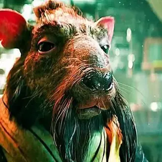 Profile image of Splinter
