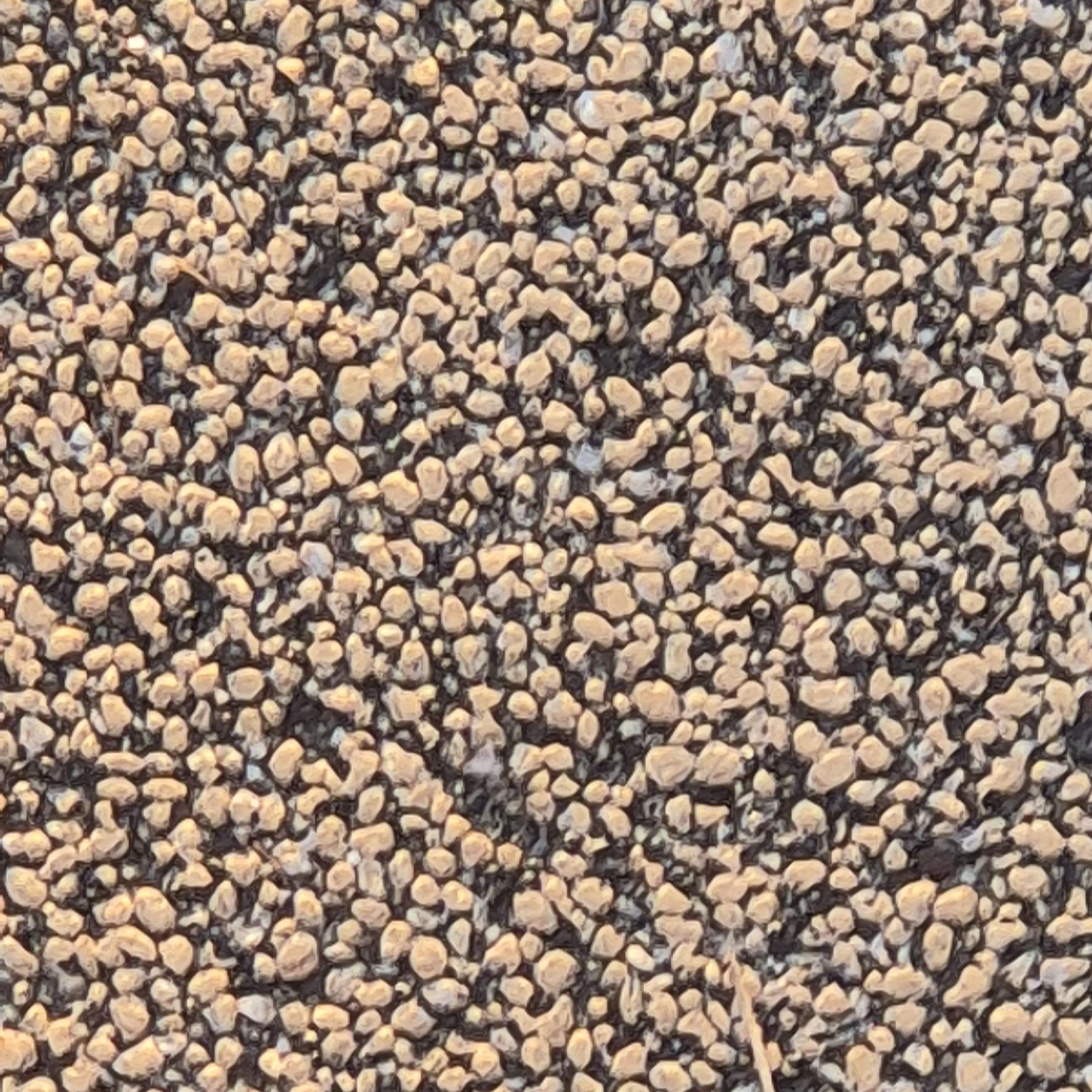 MeagerScrew6279의 닥터후,닥밍,나린