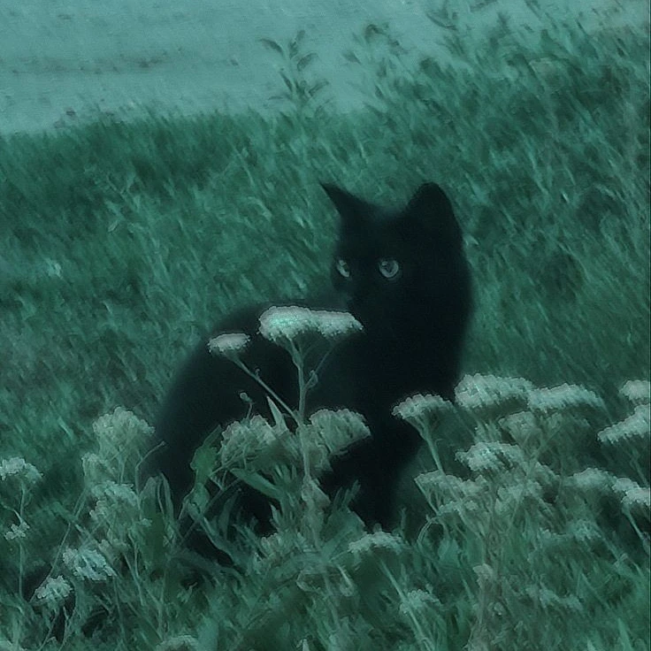 민호