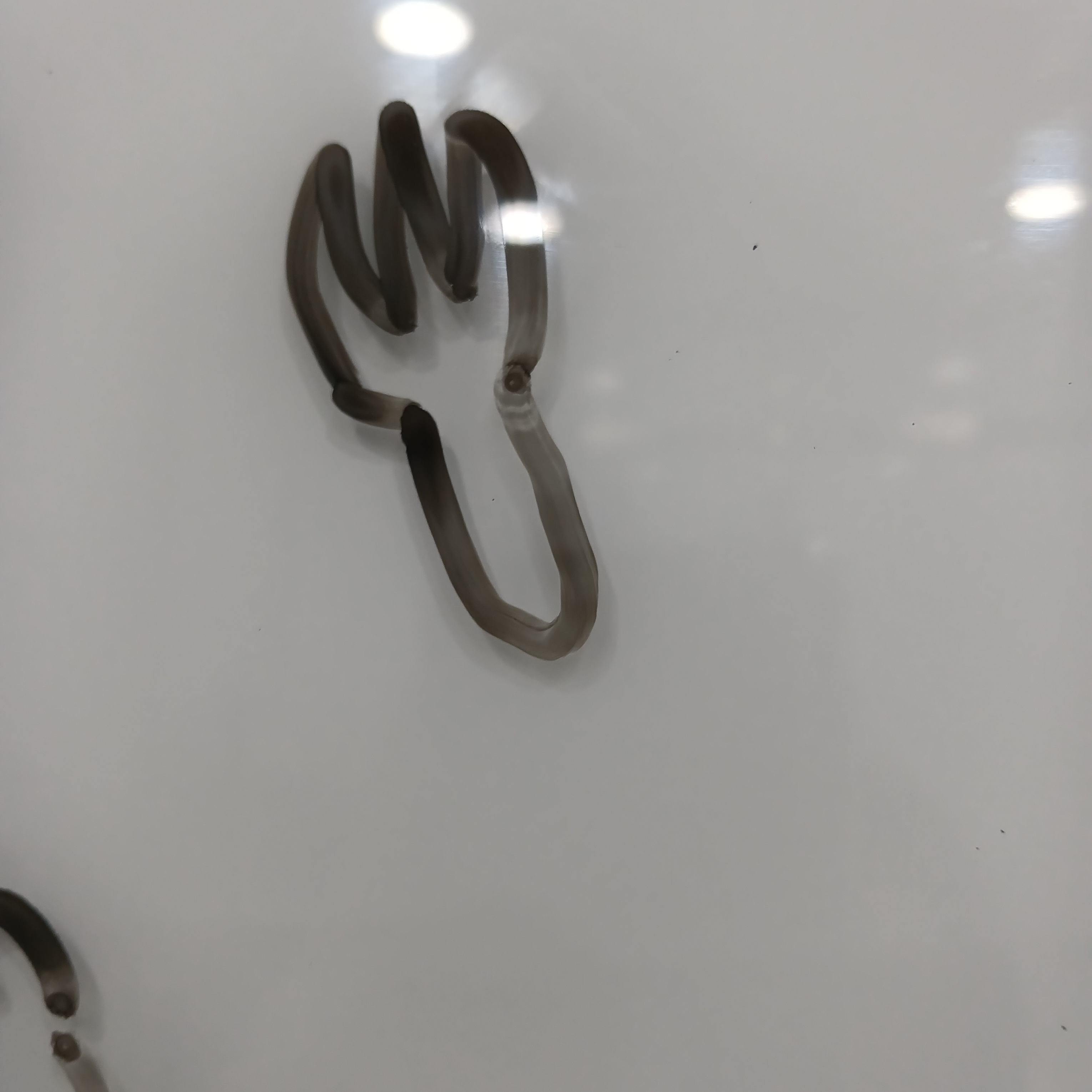 솔방울 대표 이미지