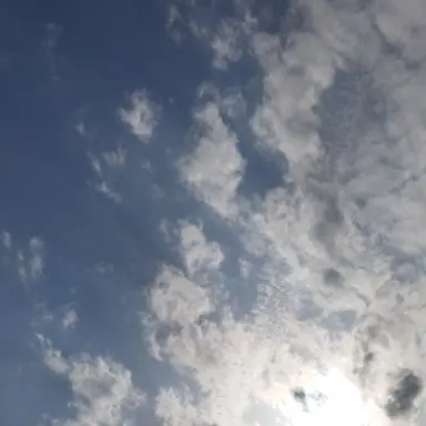 Profile image of ブリ子