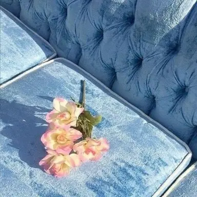 Profile image of 곰숭