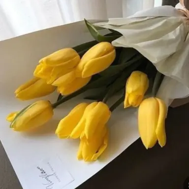 Profile image of 꽥