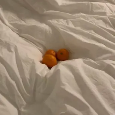 Profile image of 유저