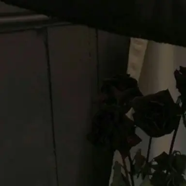 Profile image of 채스터