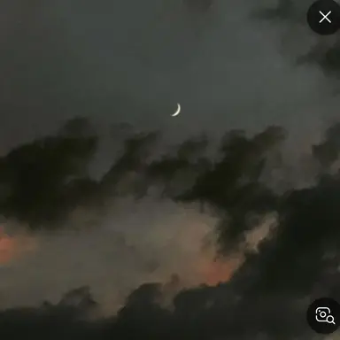 Profile image of 이핑구