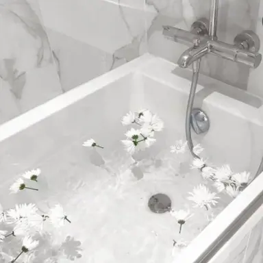 Profile image of 소멸