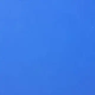 Profile image of 백지헌