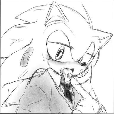 Profile image of ソニック
