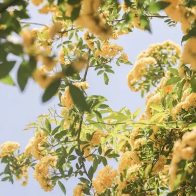 Profile image of 각별