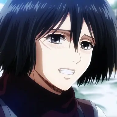 Profile image of ミカサ
