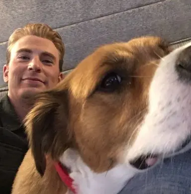 Profile image of Steve
