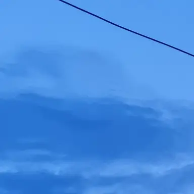 Profile image of 비르끼