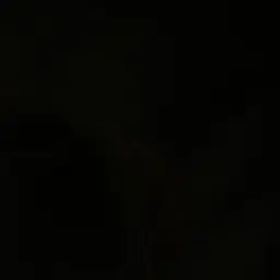 Profile image of 한지훈