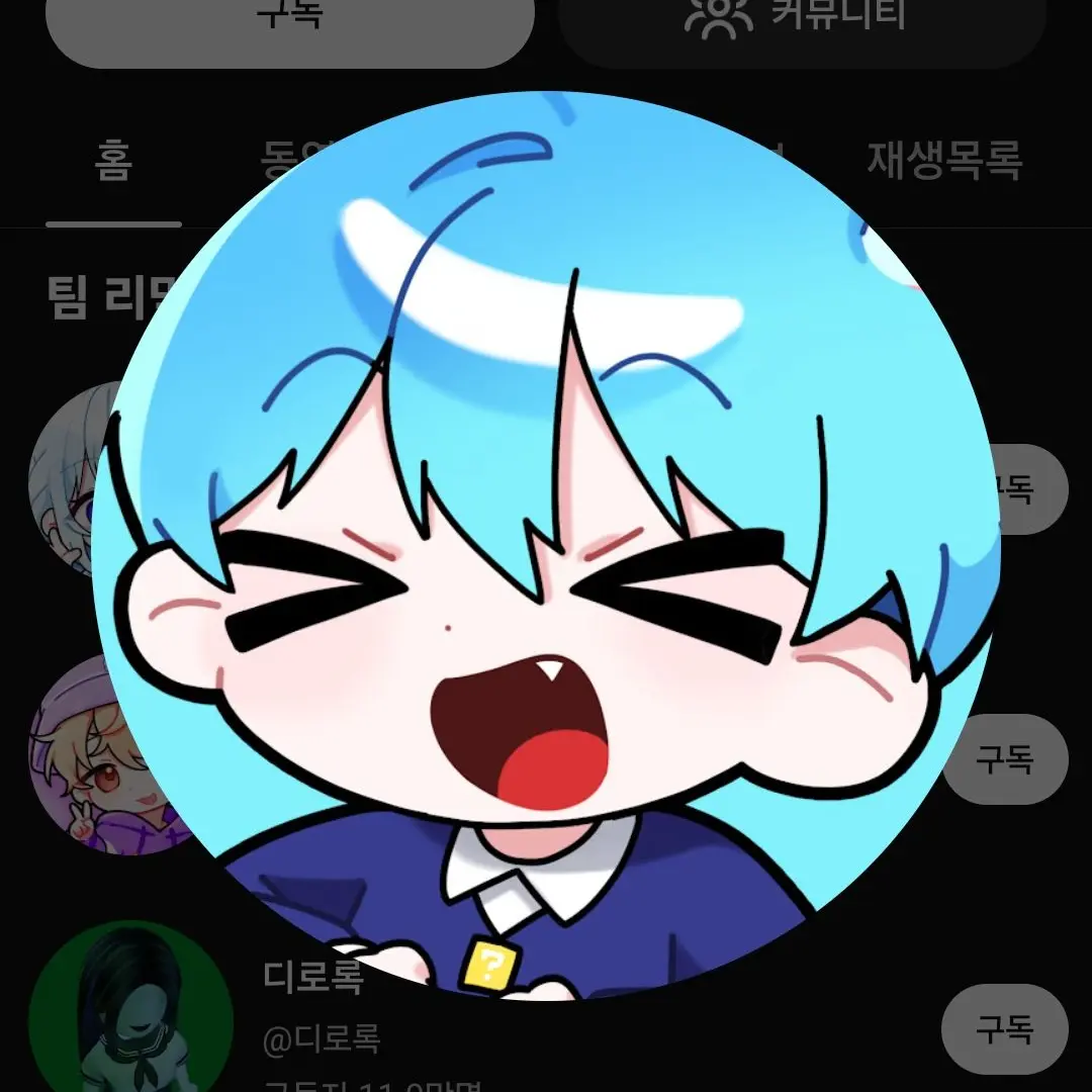 JDF의 유튜버 수인