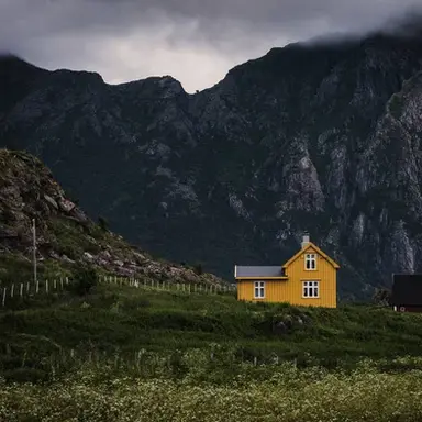 Profile image of ...