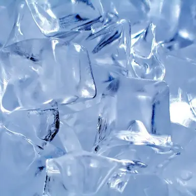 Profile image of 얼음