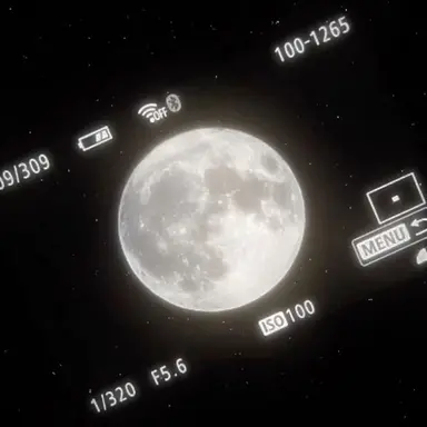 Profile image of 닝이줘