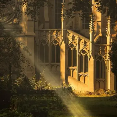 Profile image of Solde Elowen