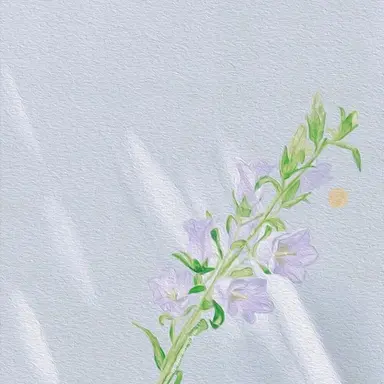 Profile image of めると