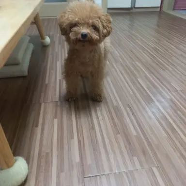 Profile image of 율리