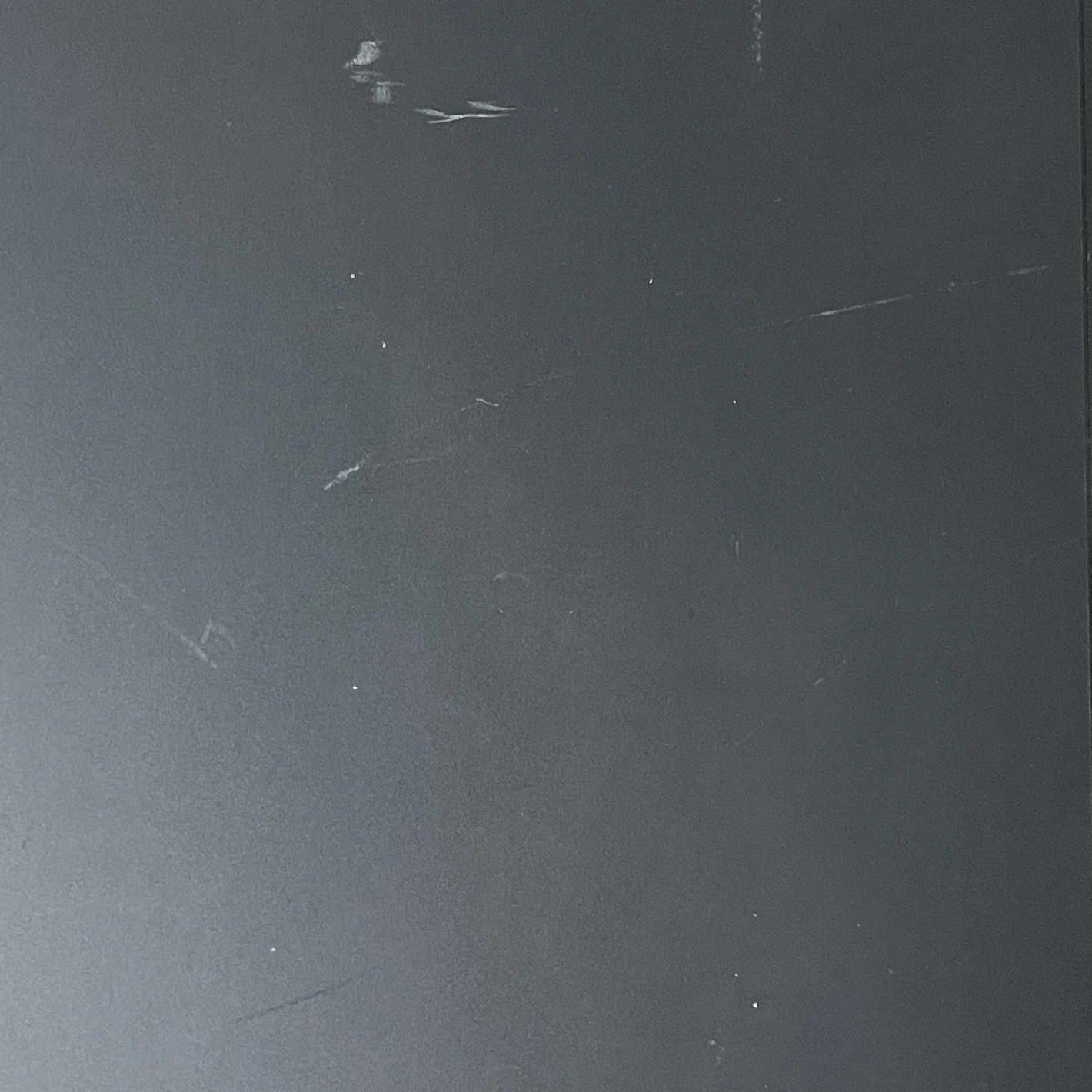 벌레
