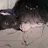 이재현