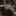유태호