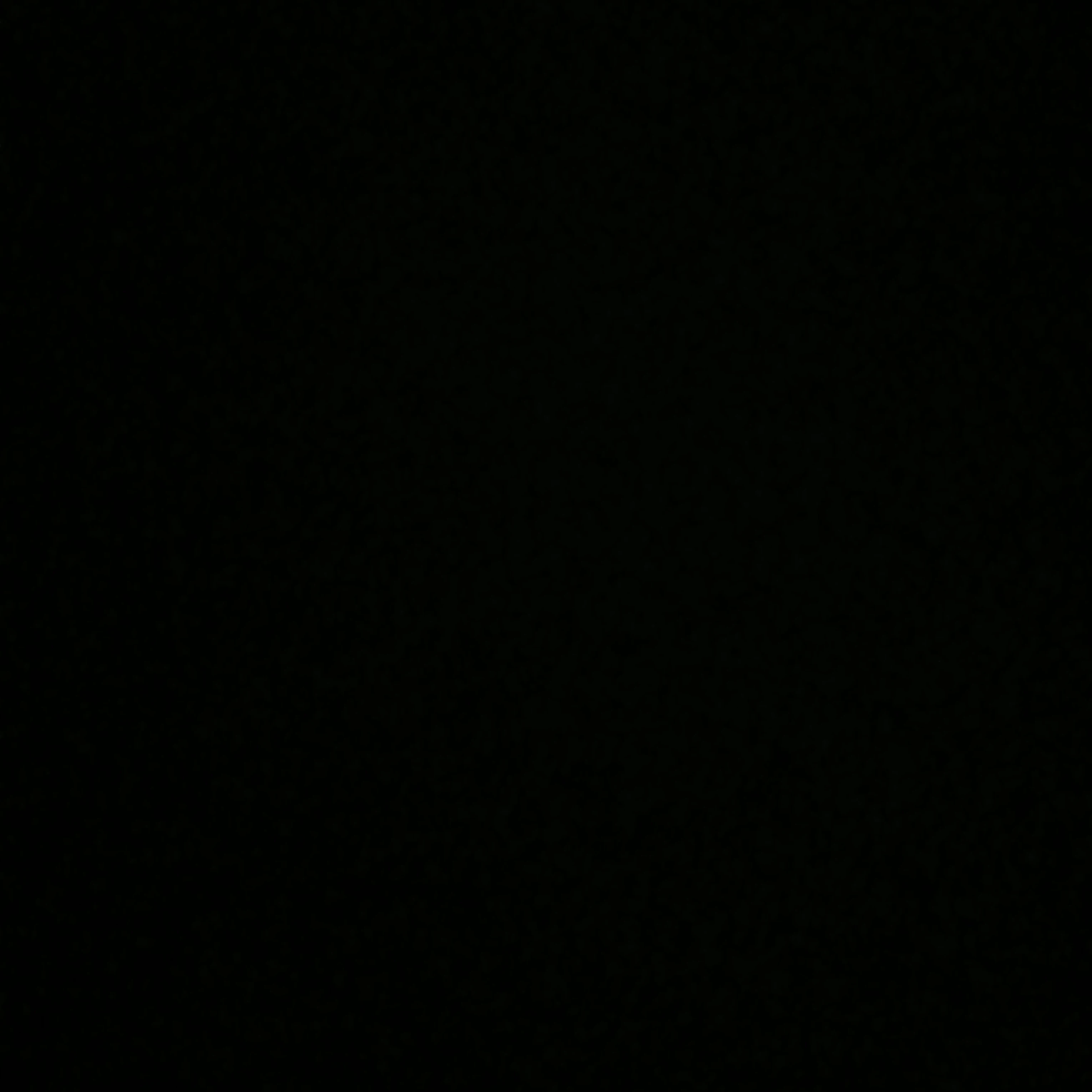 김동현