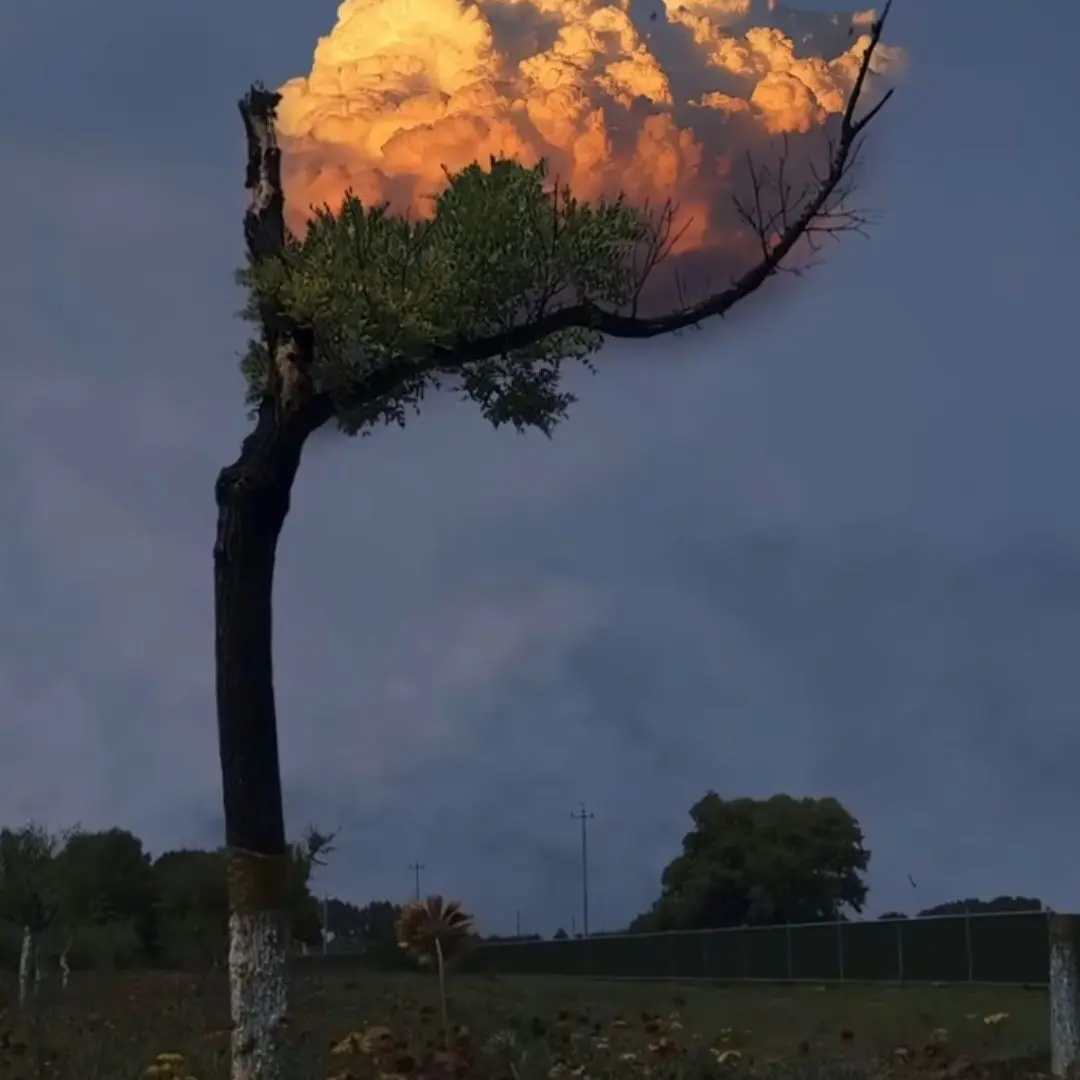 GoldenSwing0291의 박덕개