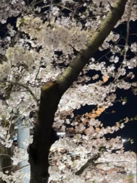 FustyRiver3974의 아 응? 싫어 자기야?