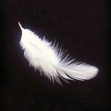 Profile image of 멘시아