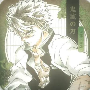 Profile image of Sanemi Shinazugawa